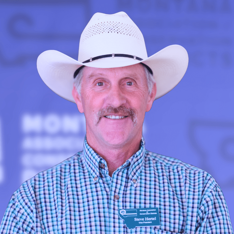 Untitled design (13)